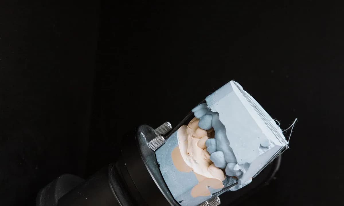 Optik tarayıcı üzerindeki dental alçı model