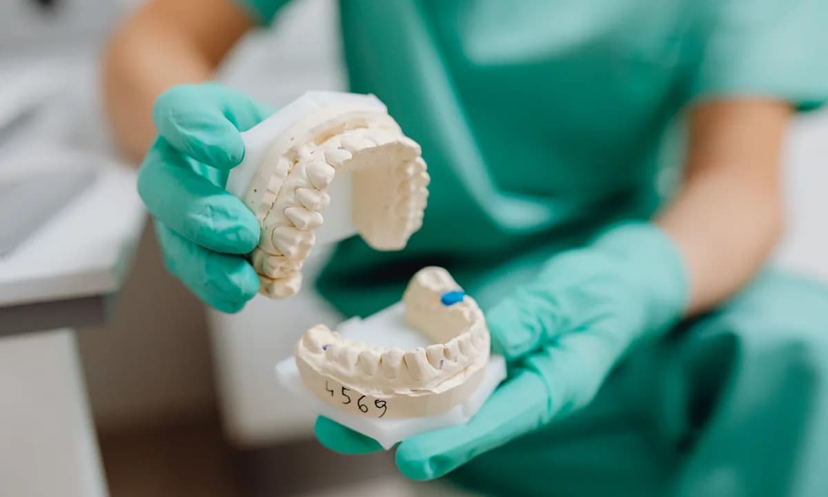 Eldivenli ellerde ayrı tutulan üst ve alt dental alçı modeller