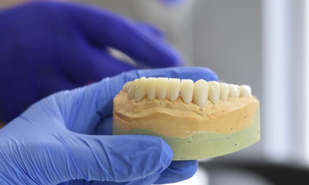 Eldivenli elde tutulan dental alçı model