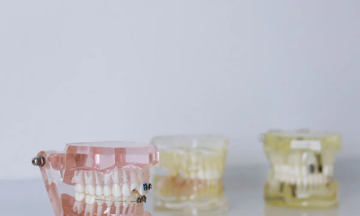Yan yana dizilmiş şeffaf dental eğitim modelleri